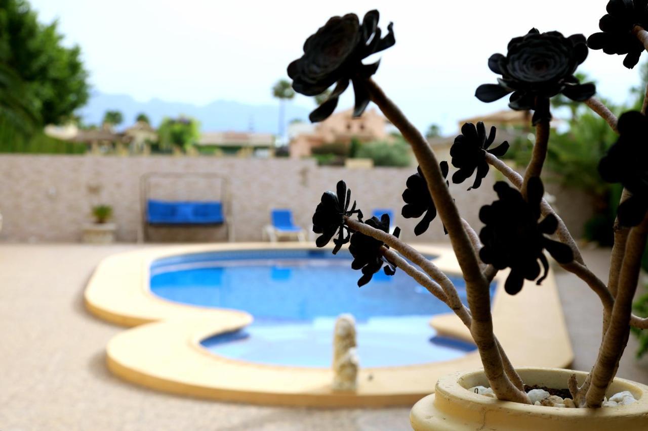 Villa Tres Palmeras En Alfaz Del Pi , Albir, Benidorm L'Alfas del Pi Buitenkant foto